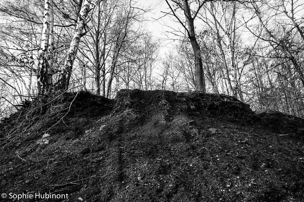 La Terre à Tony