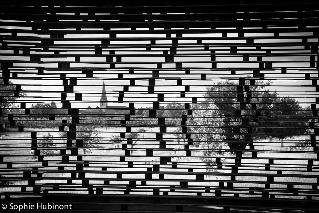 Reading between the lines